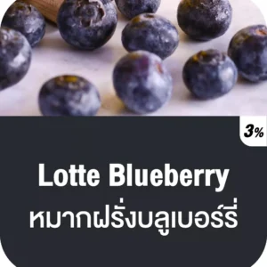 vmc 12000 puff lotte blueberry